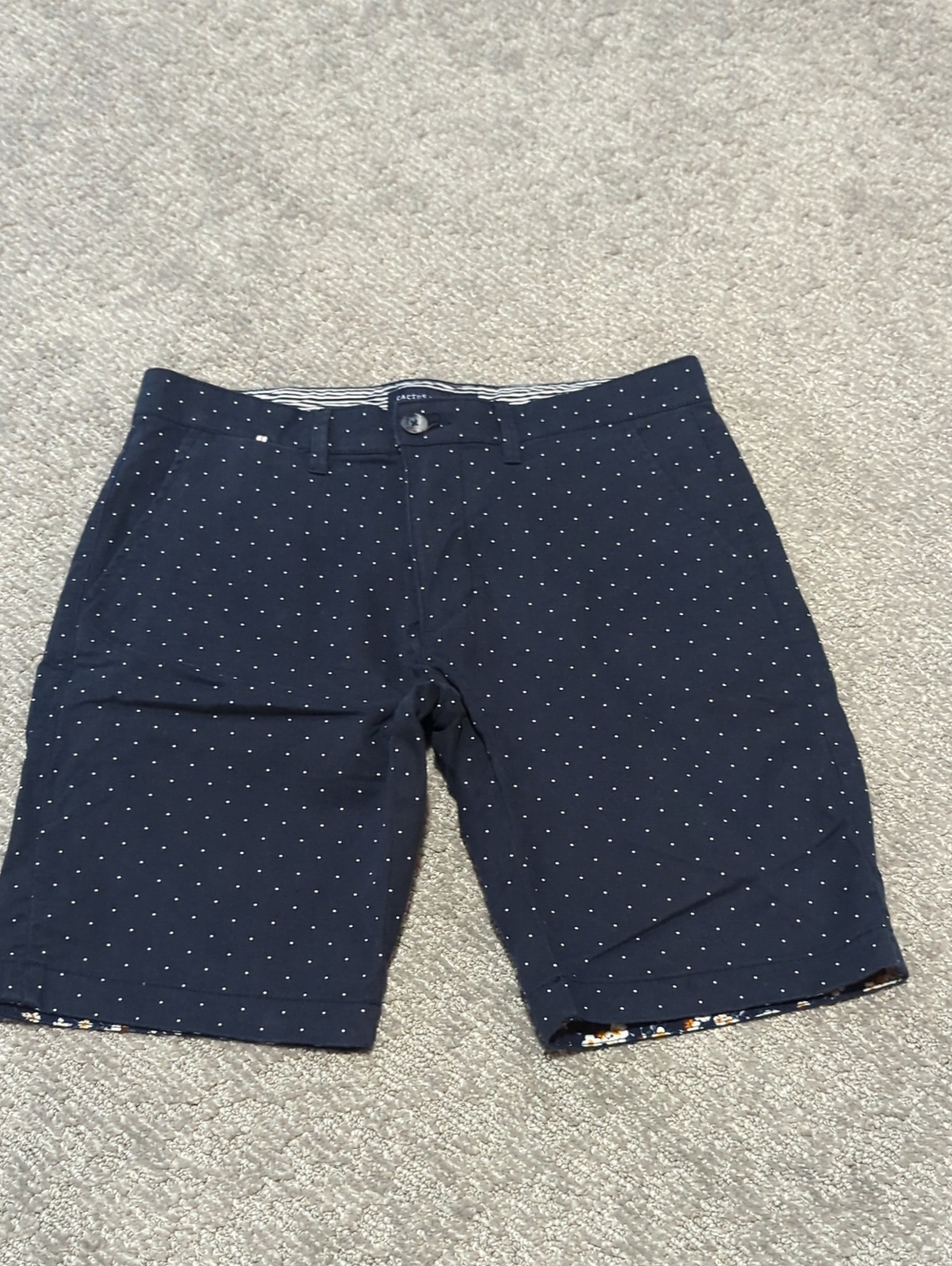 Cactus Man Navy with White Microdot Flat-Front Men's Shorts